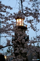千鳥ヶ淵 