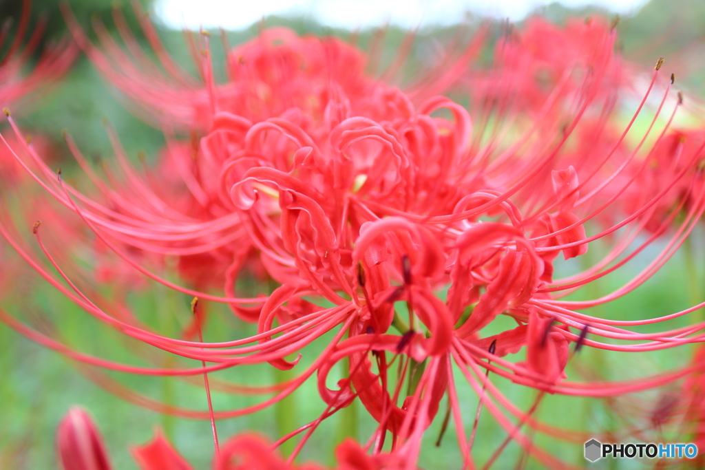 郷土の森