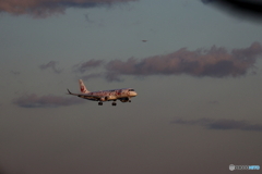 羽田空港