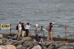 若洲海浜公園から