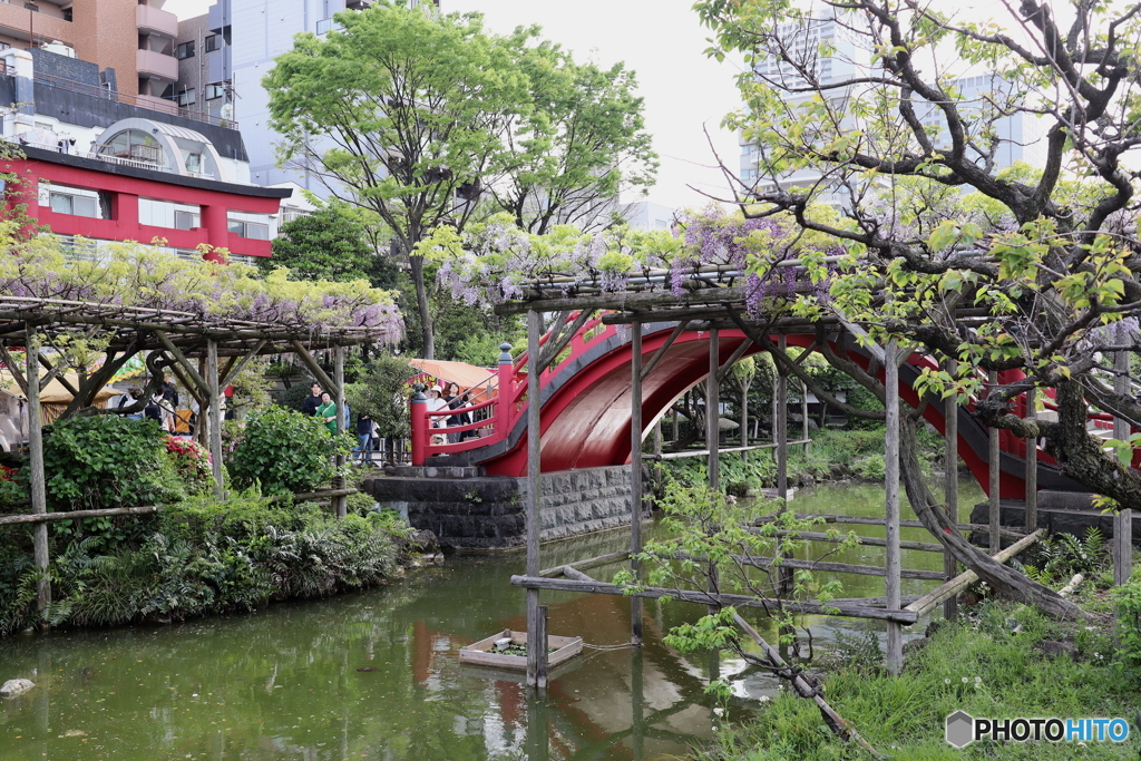 亀戸天神社