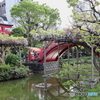 亀戸天神社