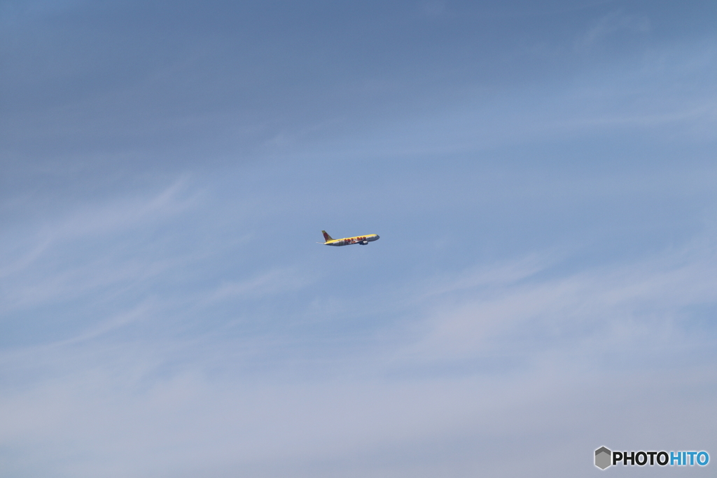 羽田空港