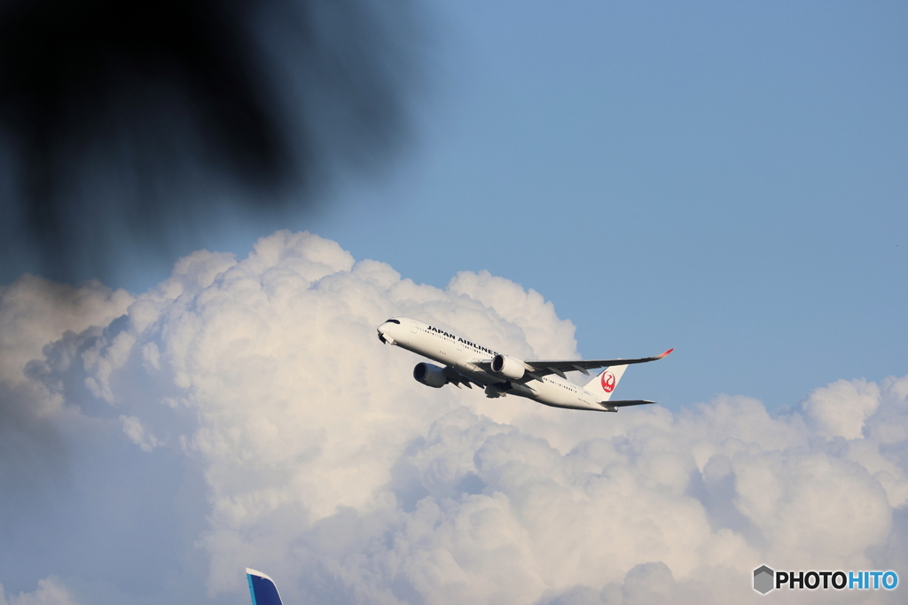 羽田空港