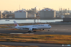 羽田空港