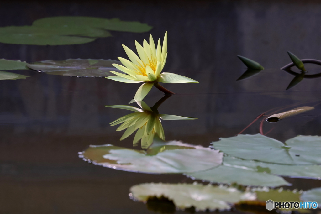 神代植物公園