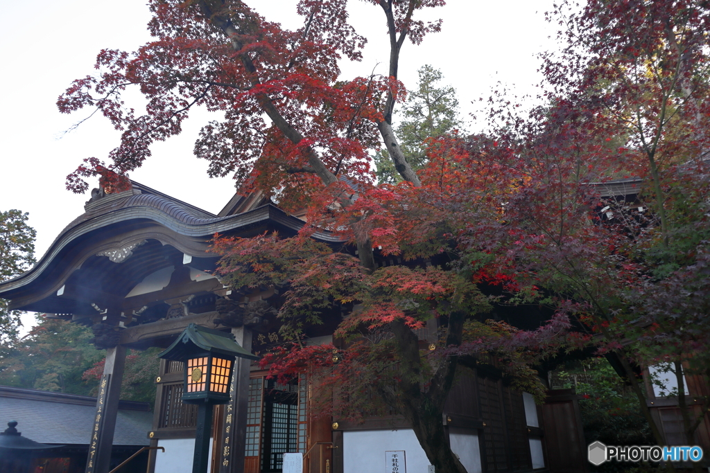 高幡不動尊