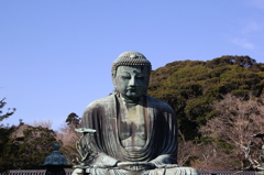 鎌倉の大仏
