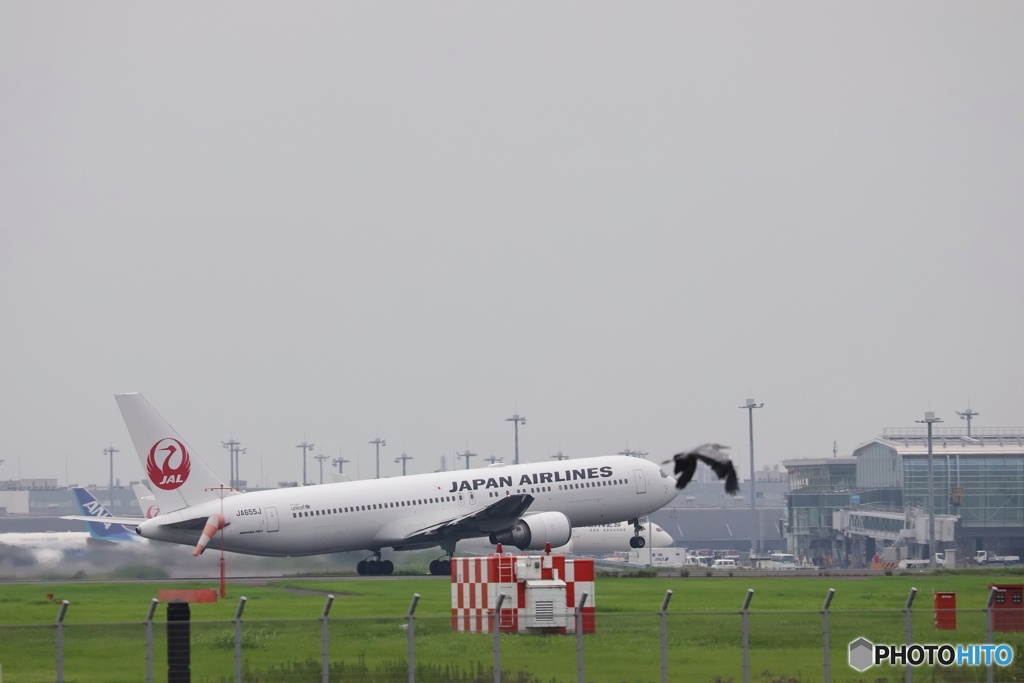羽田空港