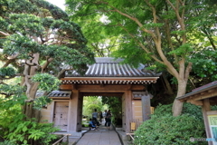 鎌倉散策