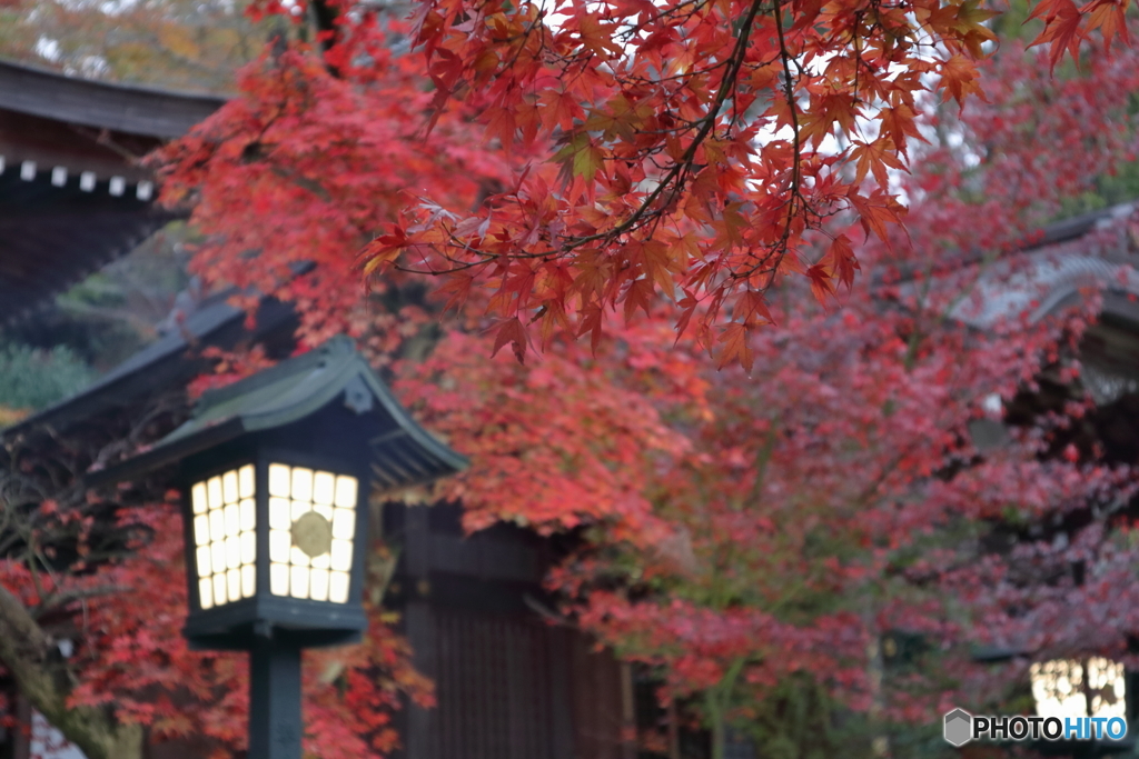高幡不動尊