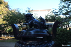 豪徳寺