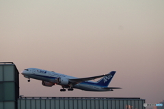 羽田空港