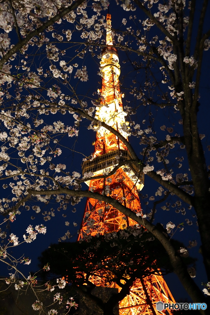 東京タワー