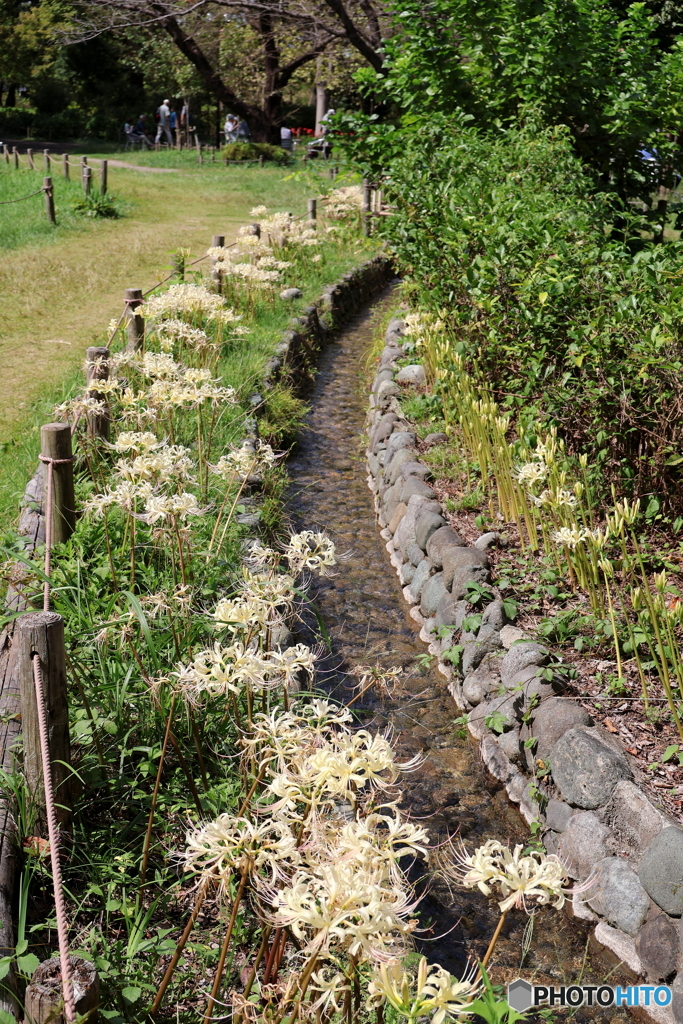 郷土の森