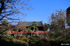 街並み