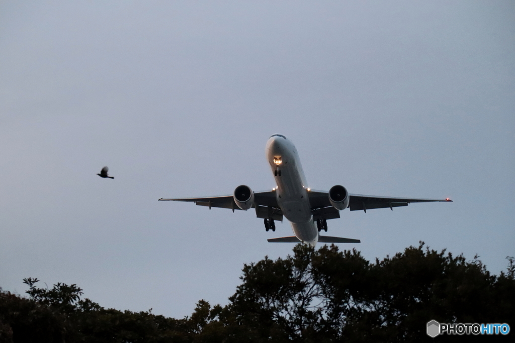 羽田空港