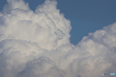 羽田空港