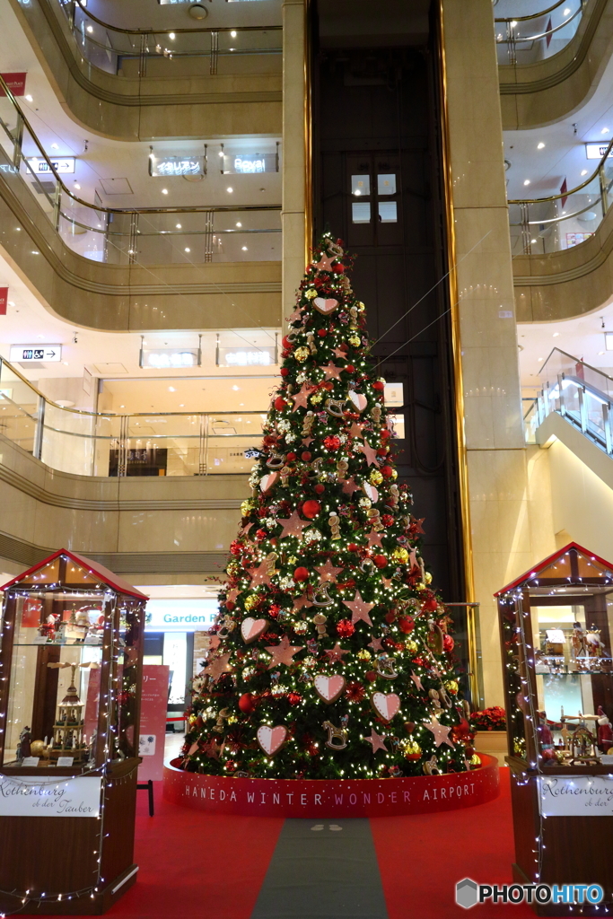 羽田のクリスマスツリー