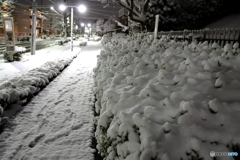 東京の雪