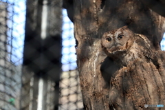 多摩動物公園