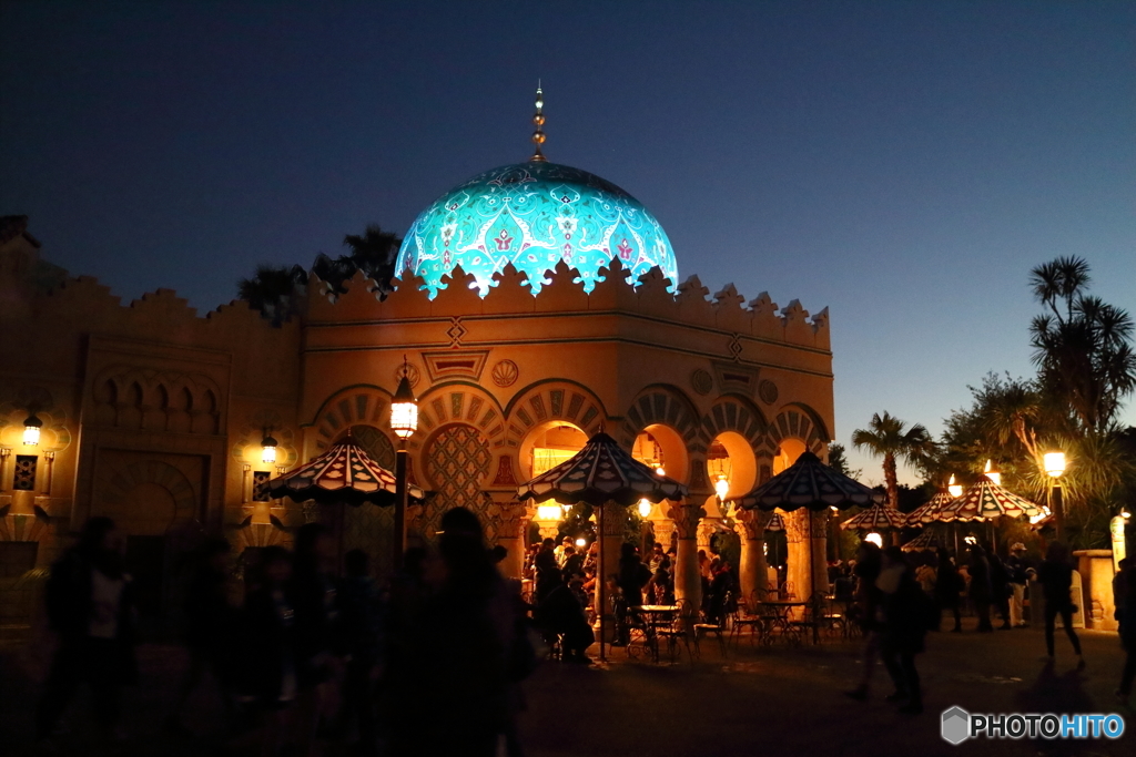 TDS・夜景