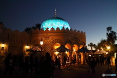TDS・夜景