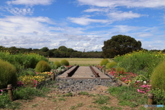 昭和記念公園