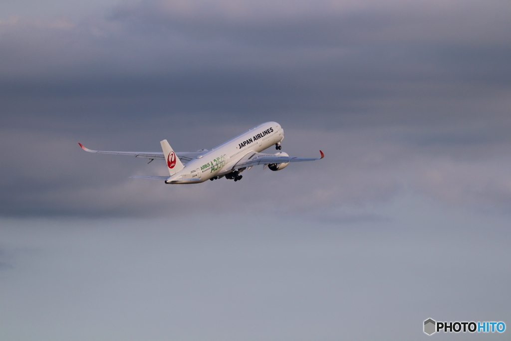 羽田空港