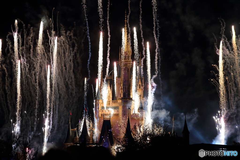 TDL