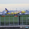 羽田空港
