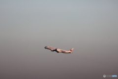 羽田空港