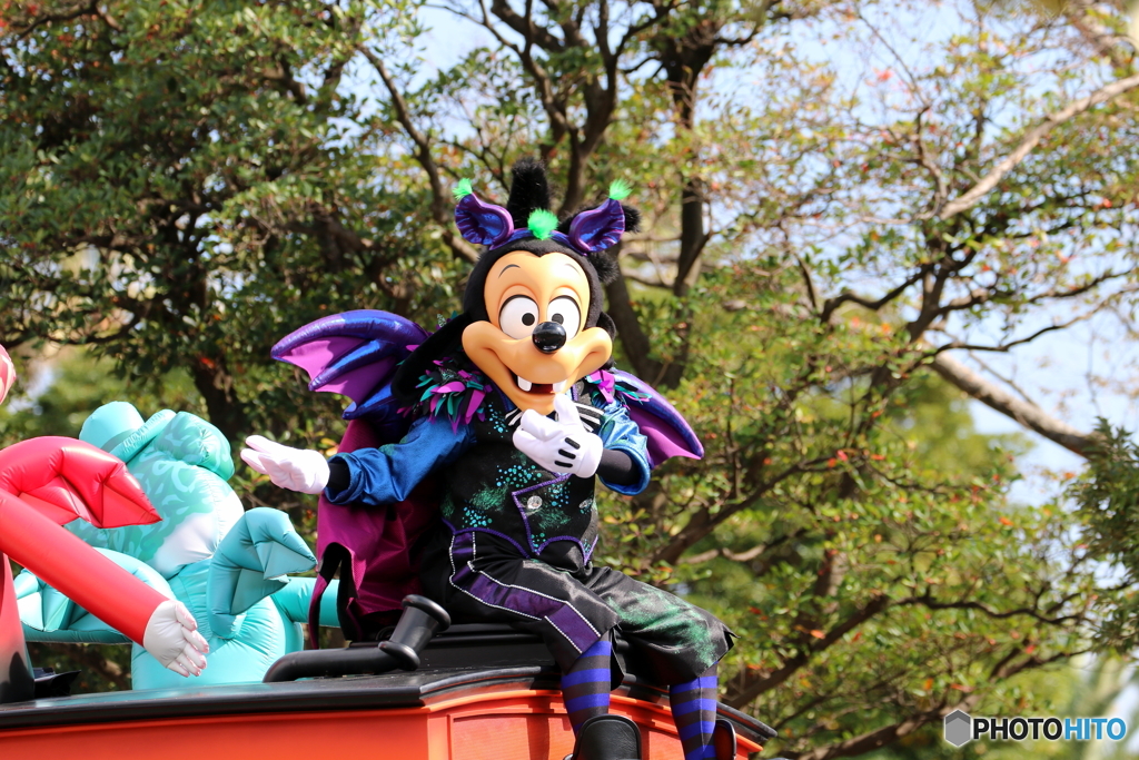 TDL