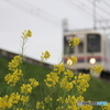 街並み
