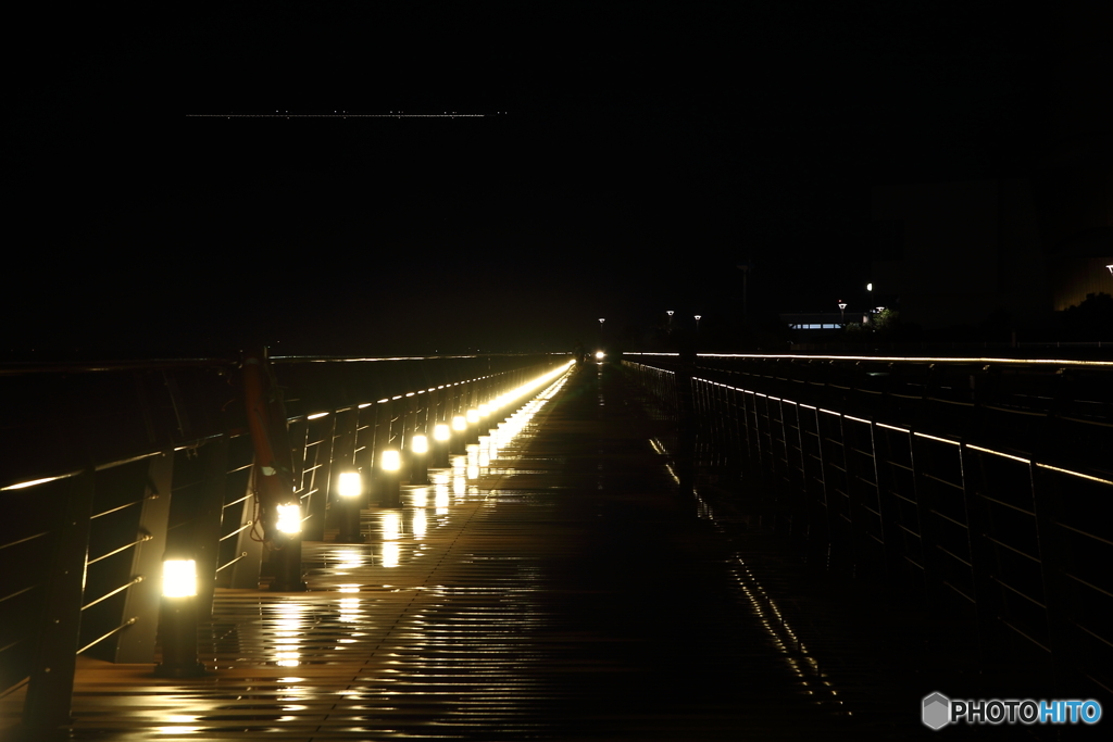 夜景