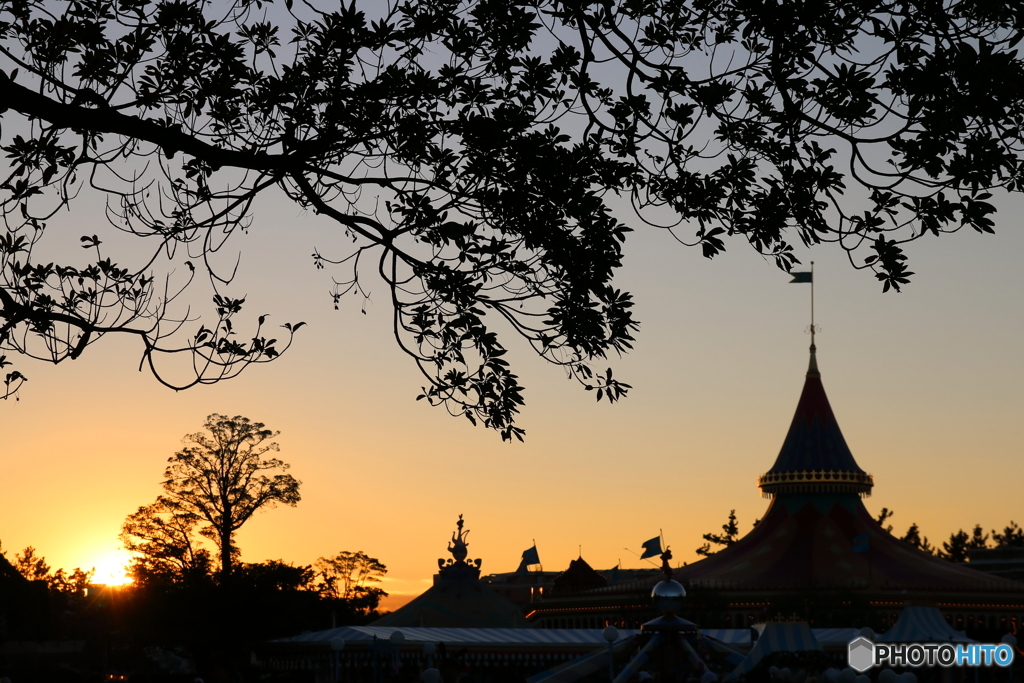 TDL