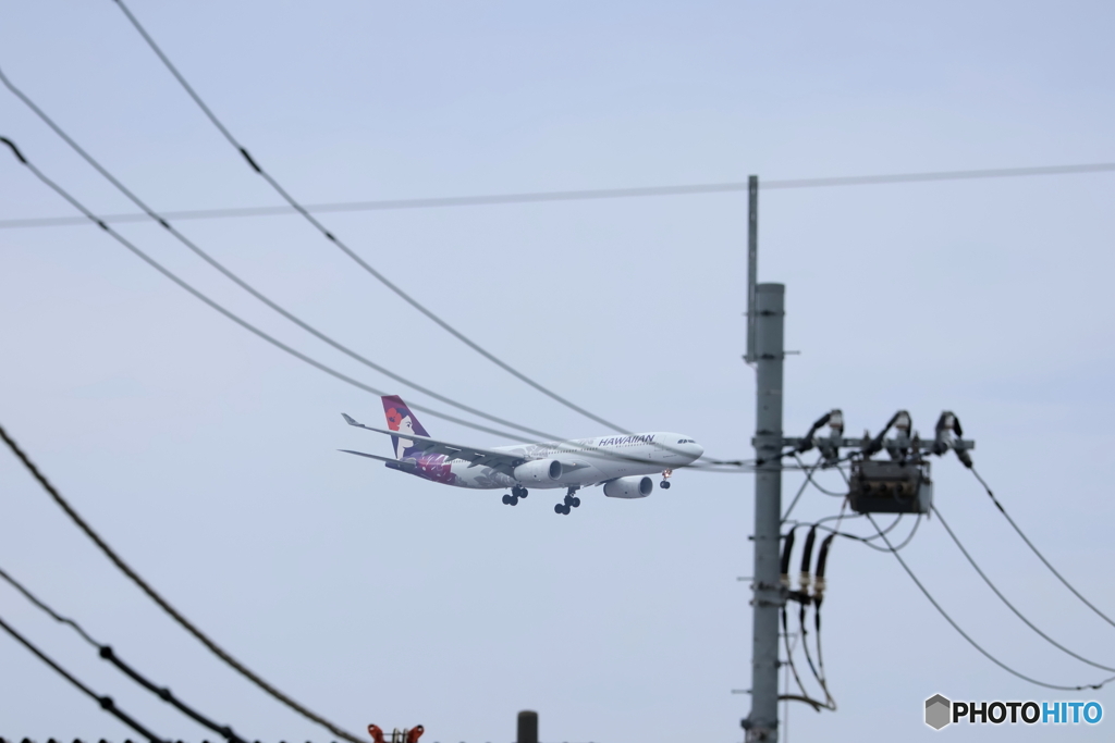 羽田空港