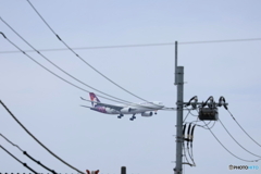 羽田空港