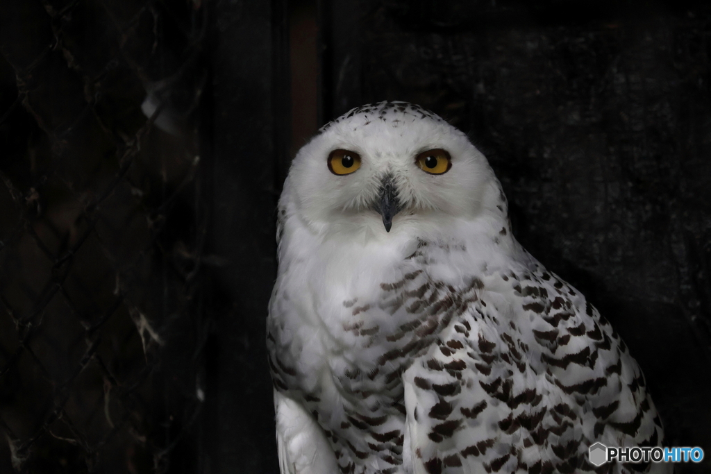 多摩動物公園