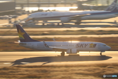 羽田空港