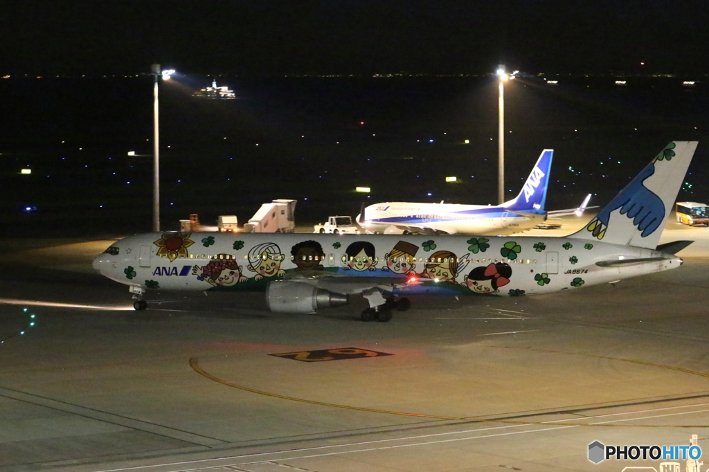 ラッピング飛行機