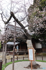 靖国神社