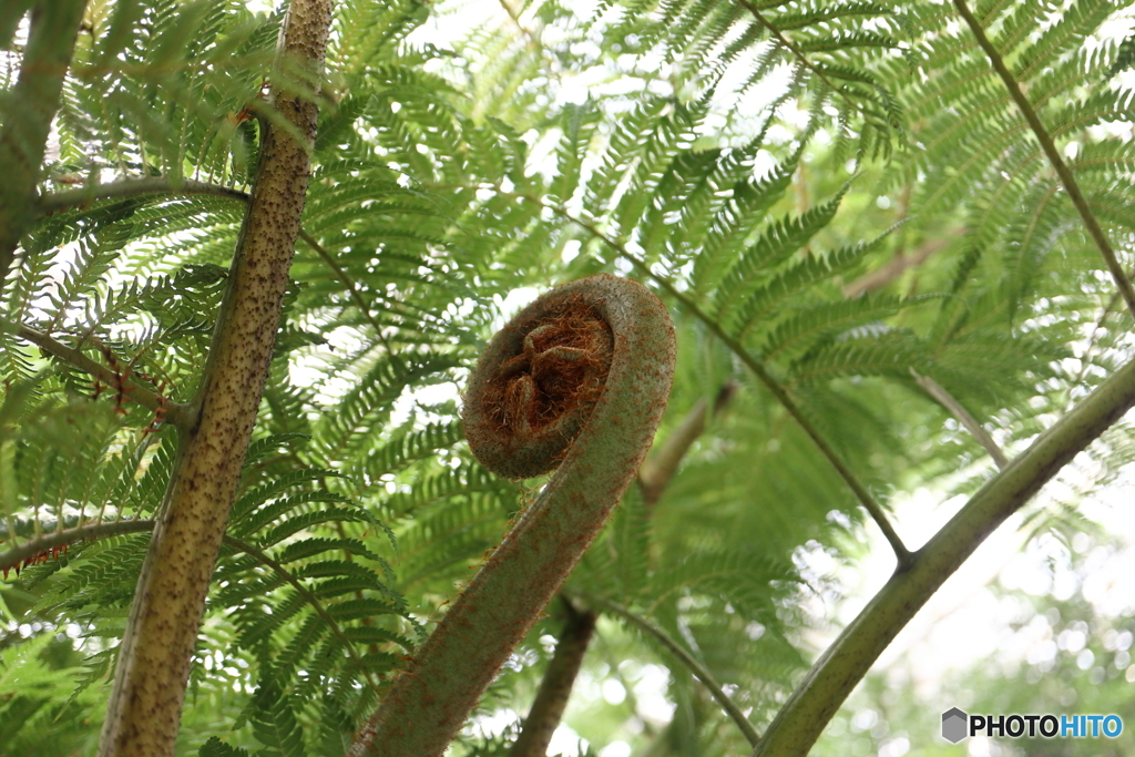 神代植物公園