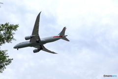 羽田空港