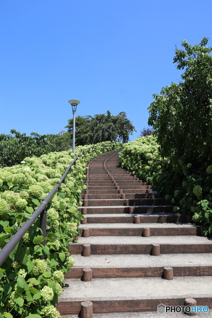 街並み
