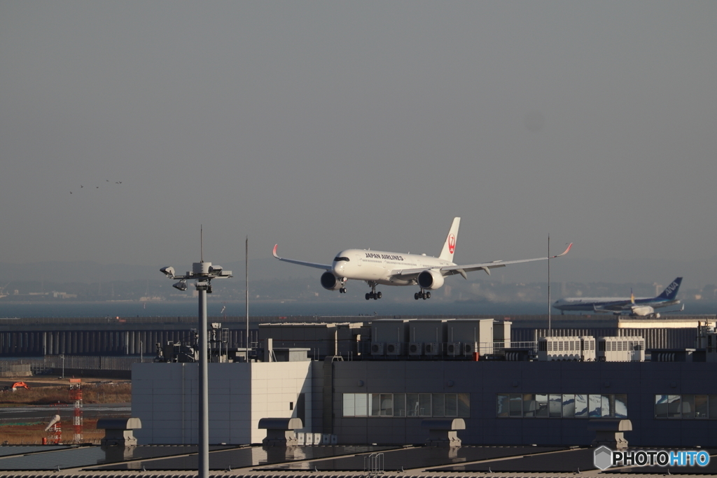 羽田空港