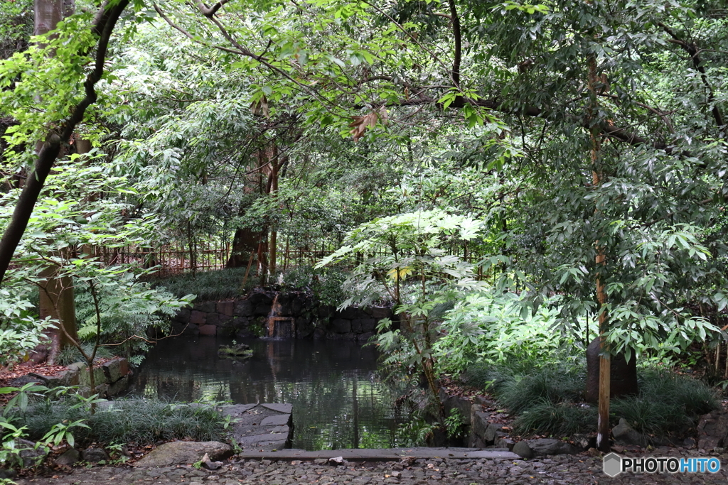 大宮氷川神社