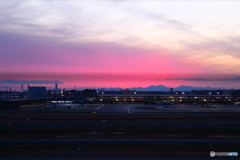 羽田空港 