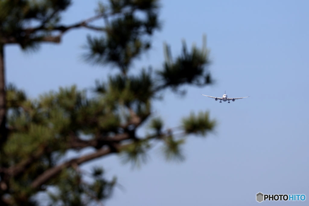 羽田空港