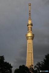 街並み